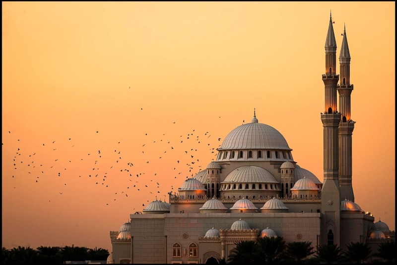 outdoors, architecture, India, birds, brown, travel, place of worship, animal, flying, built structure, landscape, vertebrate, white, sunset, flock of birds