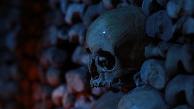 bone, depth of field, indoors, skeleton, human skull, stack, full frame, bones, horror, human skeleton, grave, human bone, dark, skull, history, human