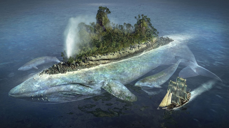 island, ship, rock, motion, whale, animals in the wild, land, shaped, undersea, animal, sailing, animal wildlife, rock - object, near, animal themes