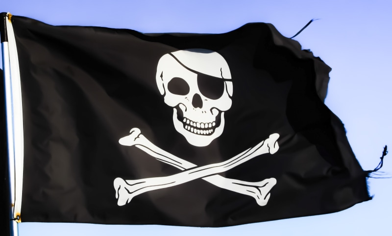 disguise, skull, human bone, white, photo, single object, anarchy, bone skull, human body part, pirate ship, closeup, 2K, human skeleton, symbol, costume