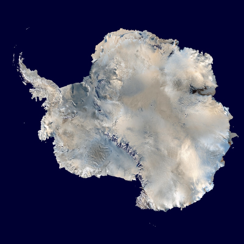 water, sea life, marine, ice, continent, black background, animal themes, geography, animals in the wild, antarctica, map, indoors, cold, animal wildlife