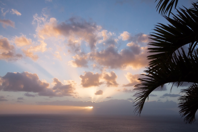 tranquil scene, idyllic, sunset, sun, plant, nature, coconut palm tree, no people, rays, palm leaf, water, sea, horizon over water, scenics - nature, clouds