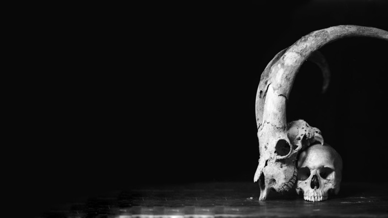 fear, spooky, human skull, black background, human bone, animal skull, single object, black, copy space, skull, bone, indoors, skeleton, studio shot, 1080P