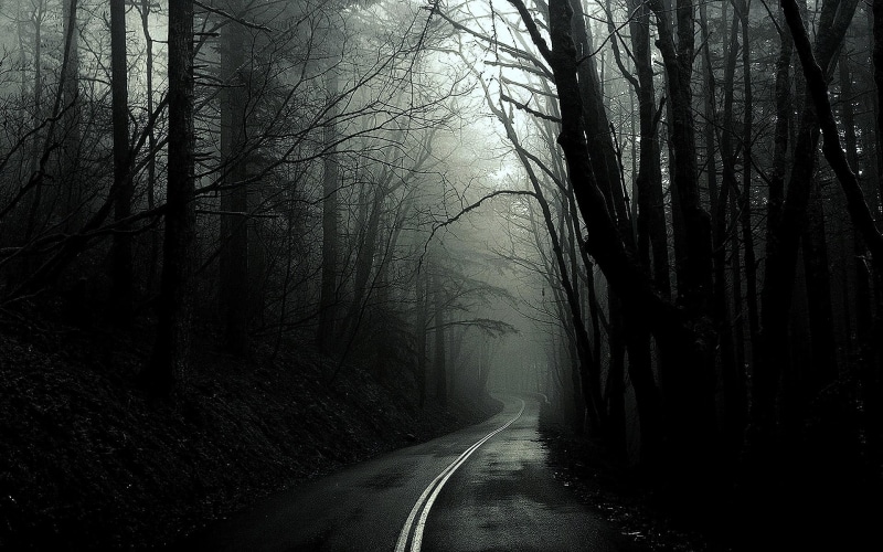 photos, green, dark, trees, black, monochrome, white, forest, roads, 1080P