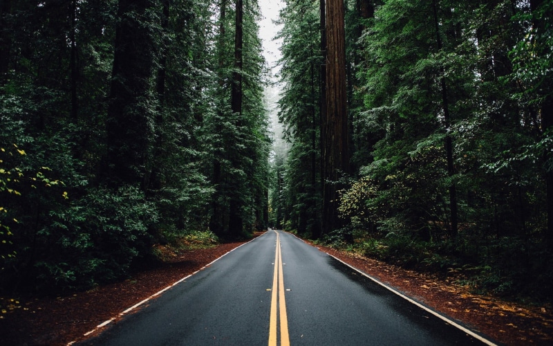 nature, road marking, uSA, marking, outdoors, landscape, rural Scene, green Color, diminishing perspective, mountain, scenics, speed, beauty In Nature