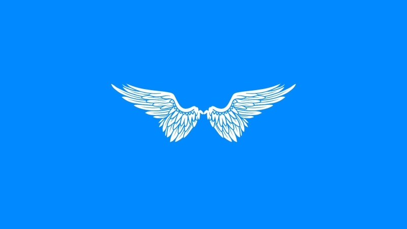 close-up, indoors, blue background, studio shot, simple, white, representation, emotion, colored background, angel, creativity, animal, art and craft, animal wildlife