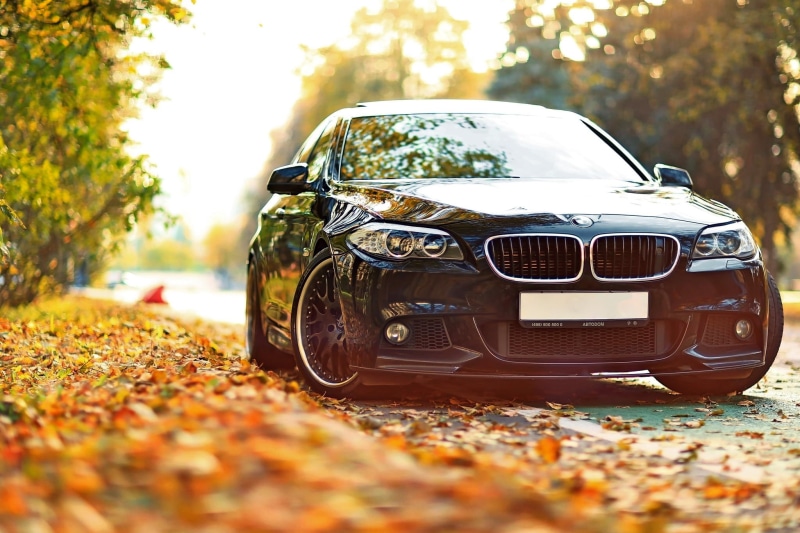 low Profile Tires, compact Car, sport, depth of field, plant, headlight, mode of transportation, germany, plant part, elegance, retro styled, series, modern