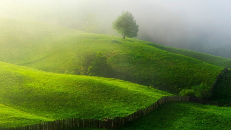 hill, grass, land, no people, hills, green color, fence, morning, tranquil scene, mountain, trees, sunlight, field, 1080P, tree, outdoors, environment