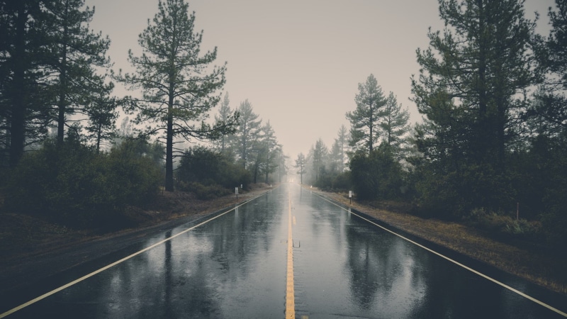 street, non-Urban Scene, diminishing perspective, travel, scenics, forest, no People, fog, outdoors, black, nature, wet, highway, weather, the way forward