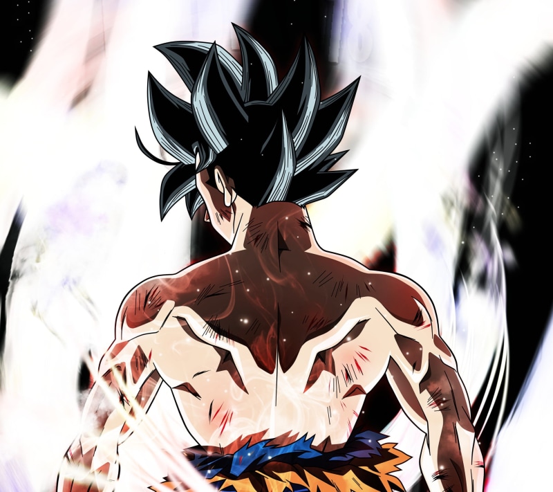 nature, indoors, human representation, decoration, 1080P, Ultra Instinct (Dragon Ball), celebration, sculpture, Dragon Ball Super, Goku, ornate, Anime