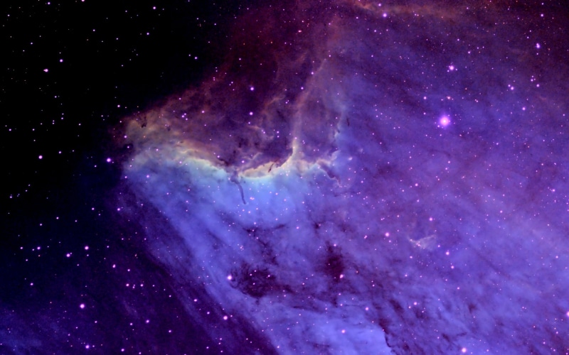pelican, night, no people, purple, outdoors, star, space exploration, star - space, astronomy, constellation, nebula, scenics - nature, beauty in nature