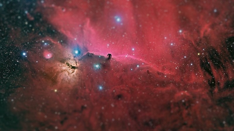 animal, science, luminosity, animals in the wild, nature, stars, astronomy, red, night, way, 1080P, space exploration, pink color, milky, space