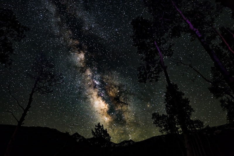 mountain, tree, space and astronomy, star field, low angle view, long exposure, silhouette, astrophotography, stars, star, night, dark, colorado
