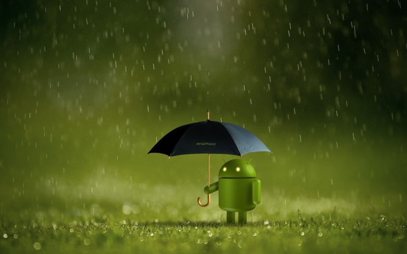 plant, nature, green color, rain, technology, black, no people, outdoors, rainy season, 1080P, beauty in nature, raindrop, monsoon, protection, wet, water
