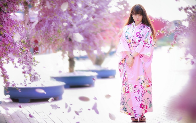 flower, pink dress, flowering plant, traditional clothing, focus on foreground, standing, young adult, geisha, clothing, plant, Asian, long hair, trees