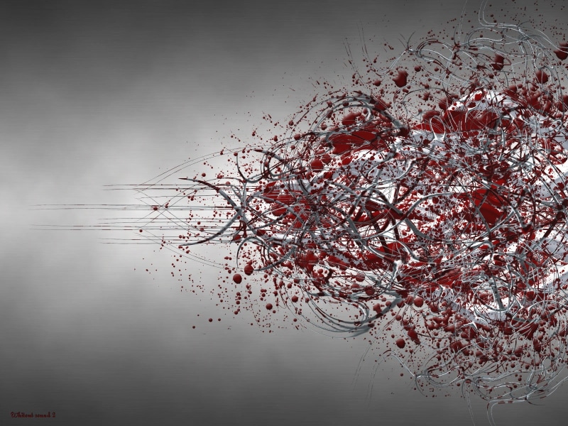 blood spatter, flower, red, studio shot, beauty in nature, lake, white, indoors, plant, autumn, growth, branch, change, reflection, floral, nature, no people