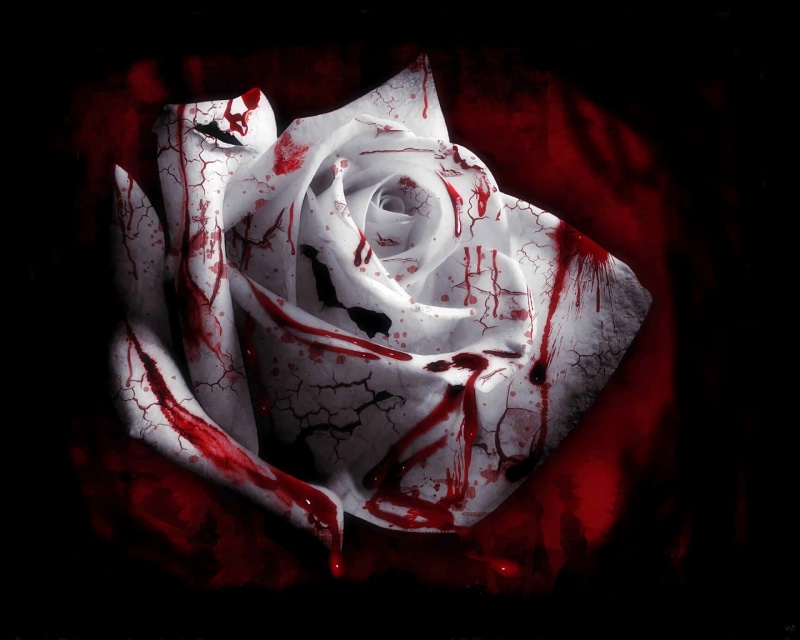 1080P, celebration, paper, red, indoors, damaged, healthcare and medicine, close-up, aggression, halloween, horror, evil, spooky, studio shot, violence