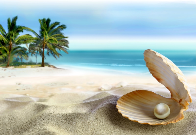 tropical Climate, land, blue, shell, tranquil Scene, seashell, animal Shell, the sun, caribbean Sea, emerald, sky, paradise, beach, ocean, wave, animal wildlife