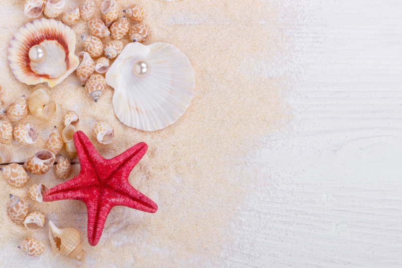 marine, 4K, wood, seashells, perl, shell, pearl, starfish, still life, sand