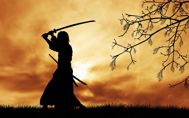 sword, Sun, Japanese clothes, katana, trees, silhouette, clouds, digital art, 4K, grass, branch, samurai