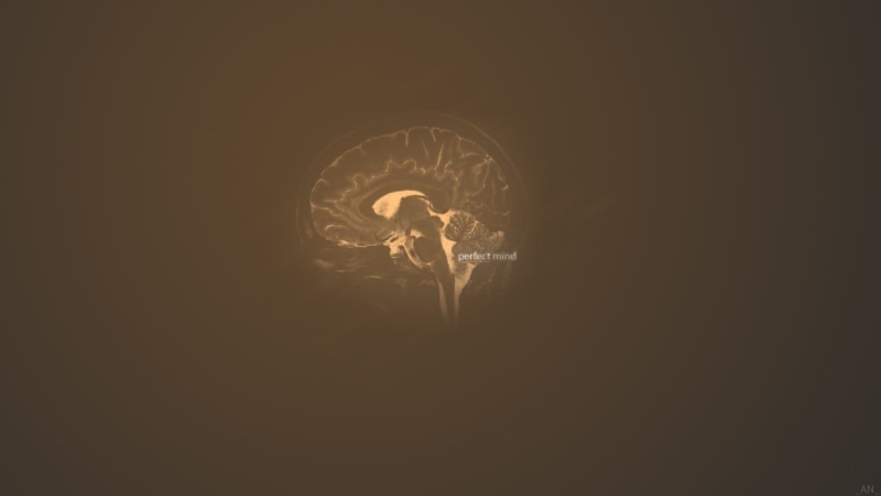 brain, 1080P, still life, indoors, no people, illuminated, simple background, light, close-up, filament, night, light bulb, copy space, lighting equipment