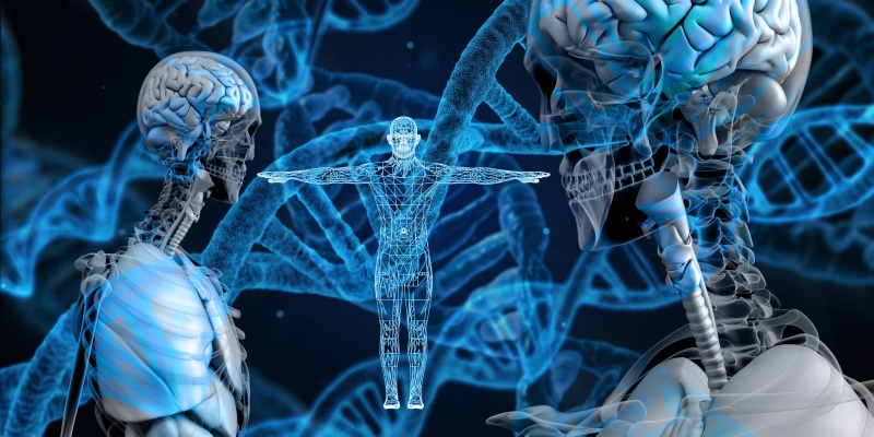 brain, genetic material, discovery, design, complexity, dna, blue, travel, skull, development, glowing, lighting equipment, pattern, coding, 2K, illuminated