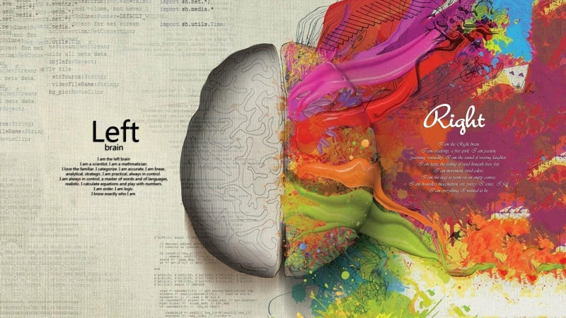 inteligence, creativity, cerebrum, contrasts, life, logic, expression, artistic, brain, structure, 4K