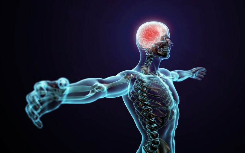 abstract, nerve, 2K, body, Brain, system, human
