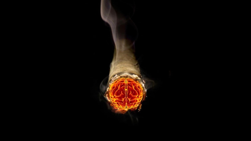 brain, red, black background, motion, burning, food, indoors, nature, bone, people, human, cigarettes, studio shot, cut out, copy space, illustration, wellbeing
