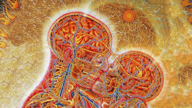science, microbiology, healthcare and medicine, architecture, pattern, close-up, artwork, kissing, two, complexity, indoors, biology, beauty in nature