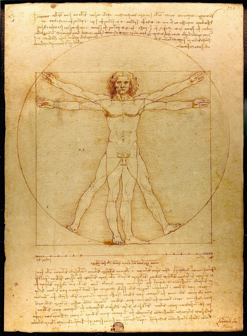 homo vitruvianus, leonardo da vinci, document, page, paper, architecture, the vitruvian man, no people, vitruvian figure, weathered, antique, stained, drawing