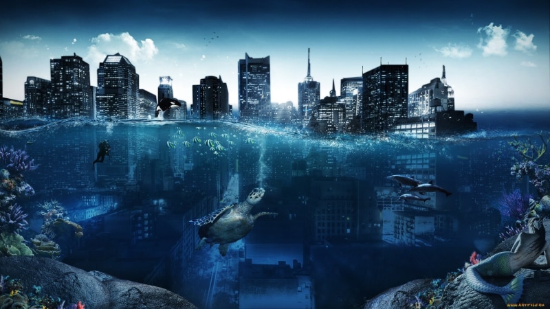 turtle, 1080P, water, building, dolphin, new York City, nature, built Structure, no people, office, tall - high, cityscape, skyscraper, tower, financial District
