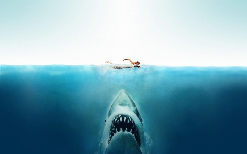 1080P, shark, sea, swimming, person, jaws, split, movies, view, split view, sharks