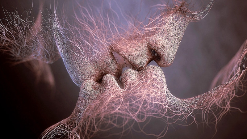 profile view, lovers, focus on foreground, 1080P, boy, one animal, human hair, human body part, human face, love, kiss, emotion, skin, anatomy, artistic