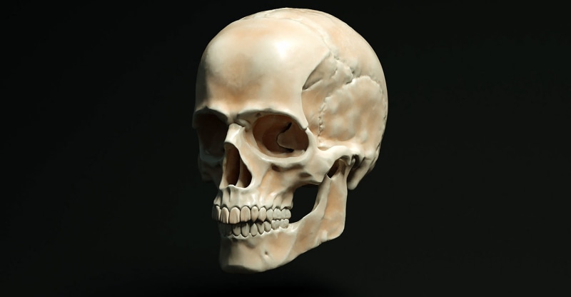 evil, close-up, studio shot, indoors, single object, spooky, human teeth, human skull, doctor, science, copy space, bone, body part, black background, still life