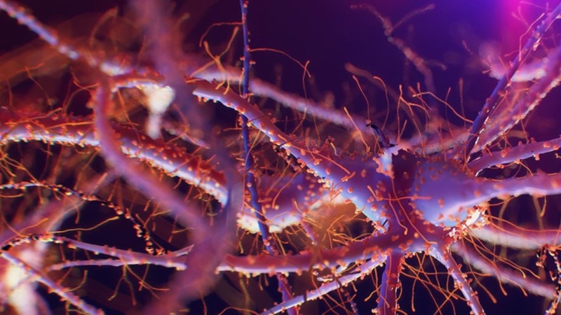 1080P, full frame, animal themes, reef, microworld, nature, human, close-up, coral, virus, selective focus, darkness, purple, biology, no people, water
