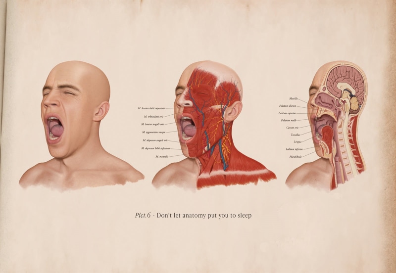 720P, science, text, wall - building feature, portrait, faces, mouth open, emotion, man, happiness, illustration, people, anatomy, communication, digital composite