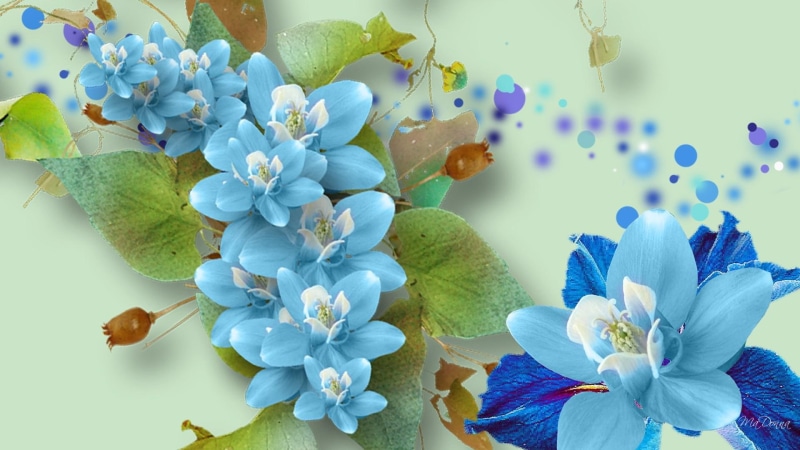 spring, firefox persona, blue, green, 1080P, leaves, cyan, flowers, floral, summer, spots, 3d and abstract, vines
