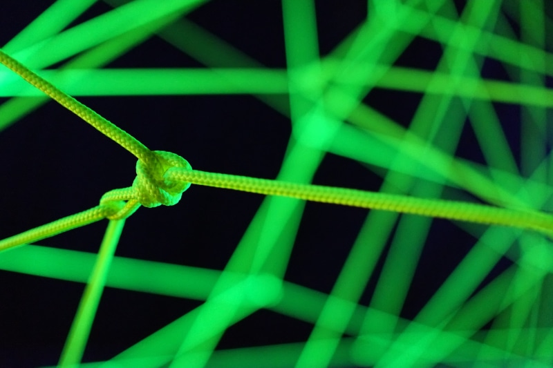 animal, green, black, node, animals in the wild, animal wildlife, abstract, close-up, elastic, reptile, animal themes, macro, small, extreme close-up, insect
