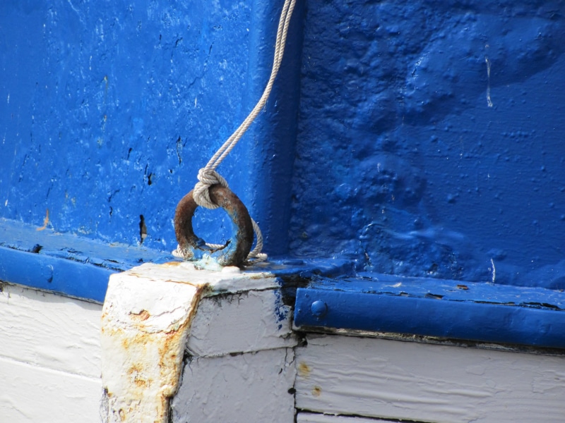 mode of transportation, metal, old, nautical vessel, pipe - tube, skill, connection, White, day, 2K, animal themes, architecture, wall, animal, no people