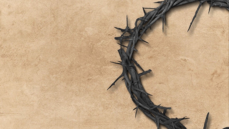 crucifix, christian, christianity, no people, crown, close-up, backgrounds, dry, leaf, christ, textured effect, spirit, worship, religion, church, full frame