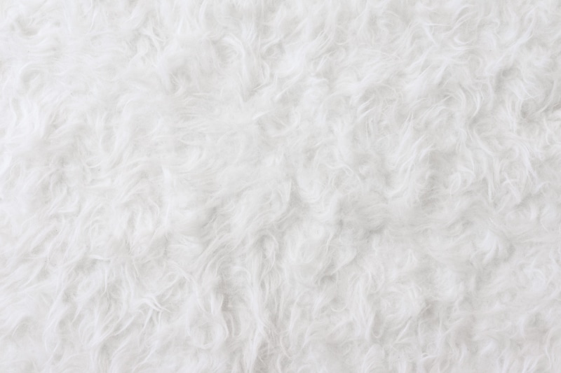 minimalistic, fluffy, indoors, animal hair, white color, simple, minimalism, woven, full frame, soft, Eco, wool, animal, fiber, textured, White, softness