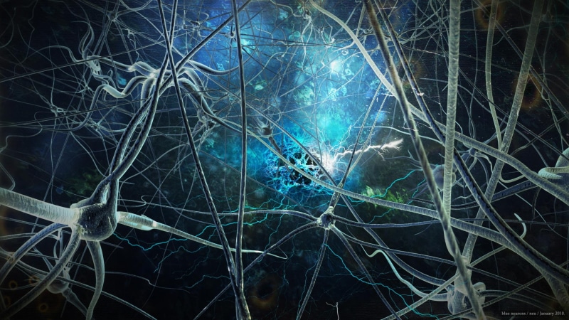 full frame, design, futuristic, technology, texture, bare tree, fractal, pattern, shape, generated, complexity, science, night, digital, tangled