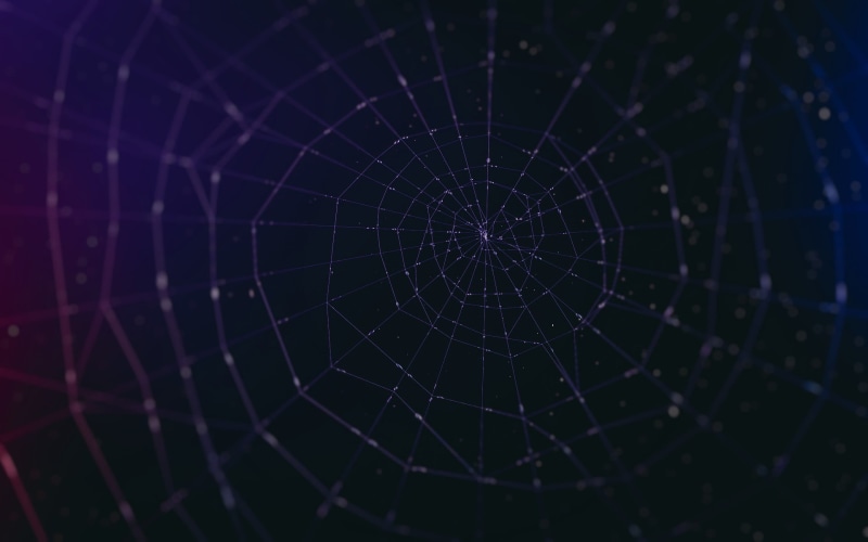 spider, vulnerability, concentric, shape, artwork, nature, backgrounds, spiderwebs, spider web, 1080P, full frame, web, fragility, intricacy, black background