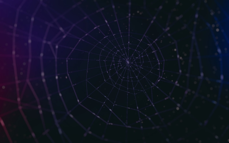 water drops, intricacy, closeup, pattern, macro, drop, web, vulnerability, backgrounds, abstract, black background, outdoors, spider, focus on foreground
