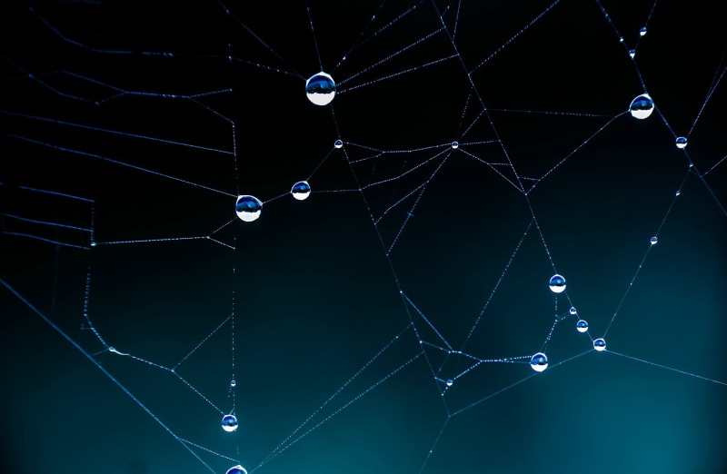 macro, metal, spiderwebs, water, drop, connection, droplets, nature, drops, spider Web, view, animal, tranquility, vulnerability, web, nets, spider, close