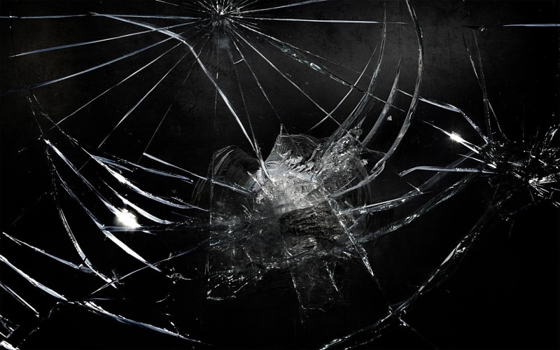 focus on foreground, fragility, animals in the wild, invertebrate, Technology, black background, animal themes, animal wildlife, Broken Screen, Cracked Screen