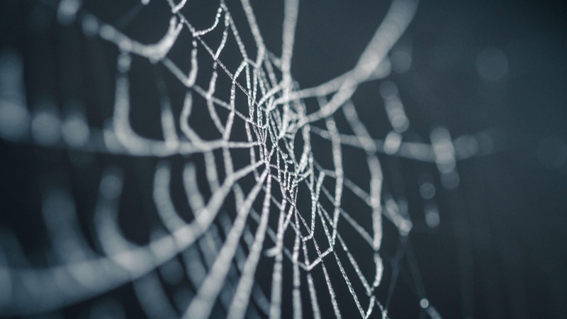 spider web, no people, vulnerability, architecture, broken, selective focus, 4K, intricacy, pattern, science, complexity, black color, indoors, shape