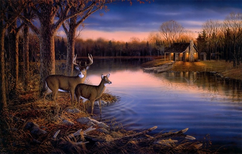 Sam Timm, animal, water, group of animals, outdoors, tree, vertebrate, antler, boat, rural Scene, stag, house, woodland, season, deer, herbivorous, sunset