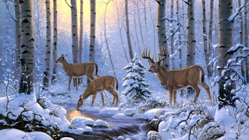 creek, painting art, painting, stag, stream, winter, white tailed deer, 1080P, freezing, whitetail deer, fauna, tree, deer, forest, woodland, snow, wildlife